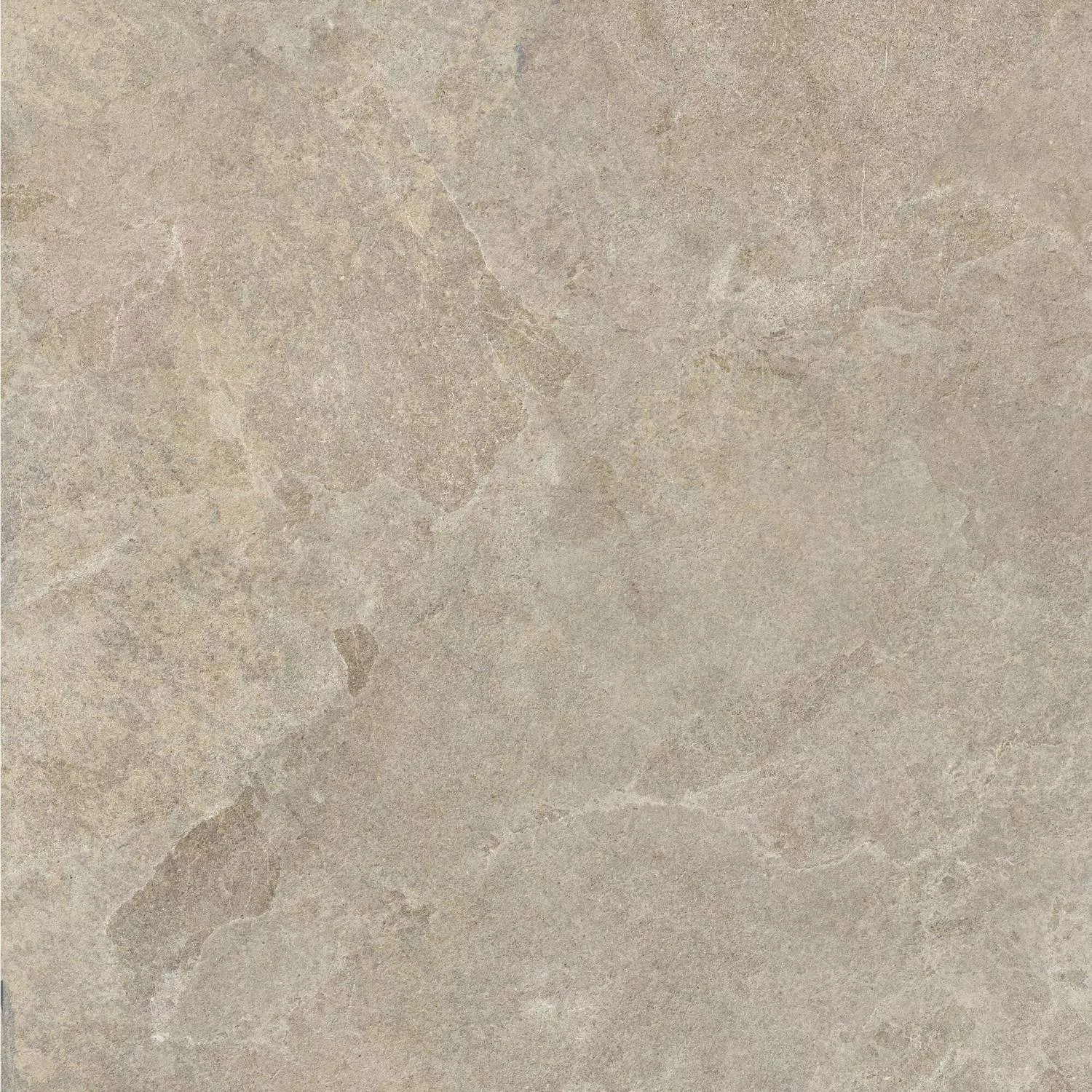 Camel AS C R 100x100
